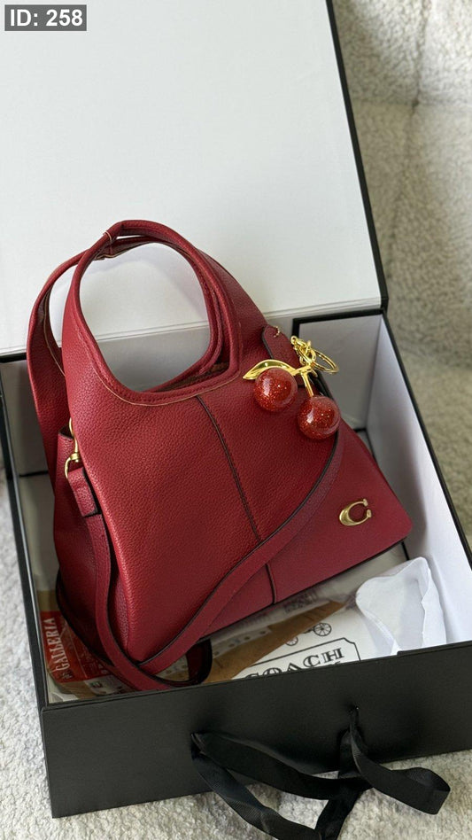 Coach LANA bag / شامل بوكس كواليتي ماستر