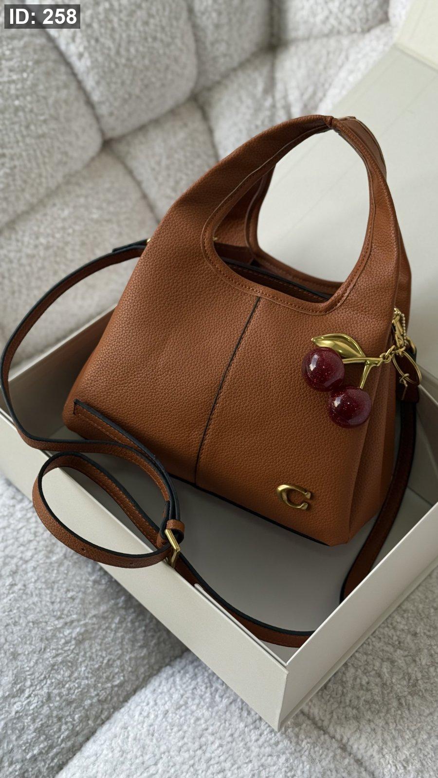 Coach LANA bag 23cm