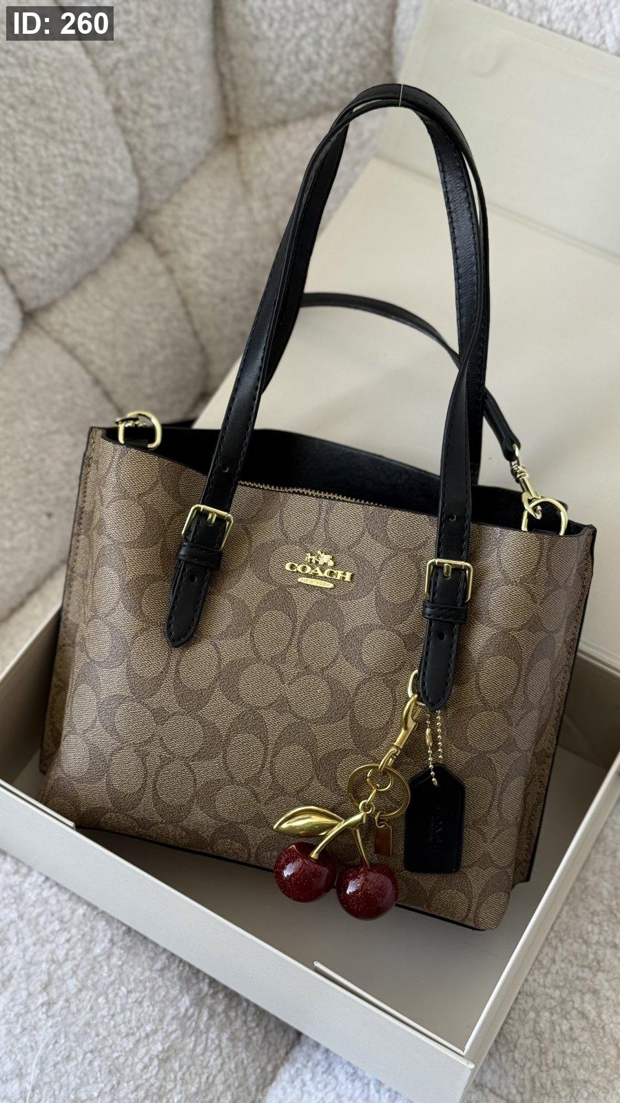 Coach bag mollie tote