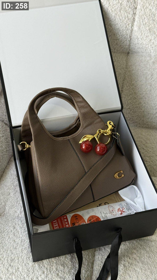 Coach LANA bag / شامل بوكس كواليتي ماستر
