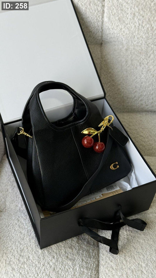 Coach LANA bag / شامل بوكس كواليتي ماستر