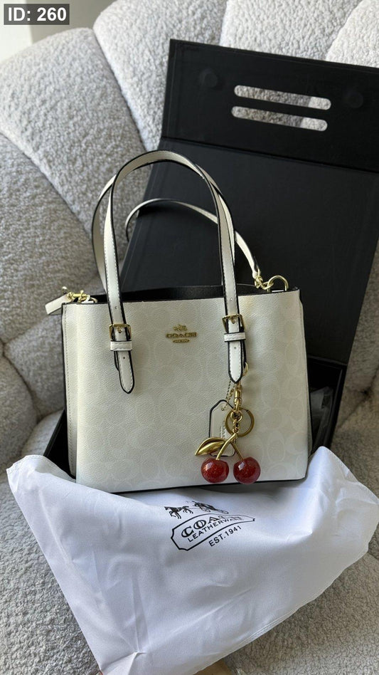 شنطة - Coach bag mollie tote / شامل العلبة كواليتي ماستر