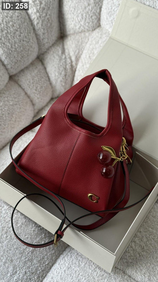 Coach LANA bag 23cm / شامل بوكس كواليتي ماستر