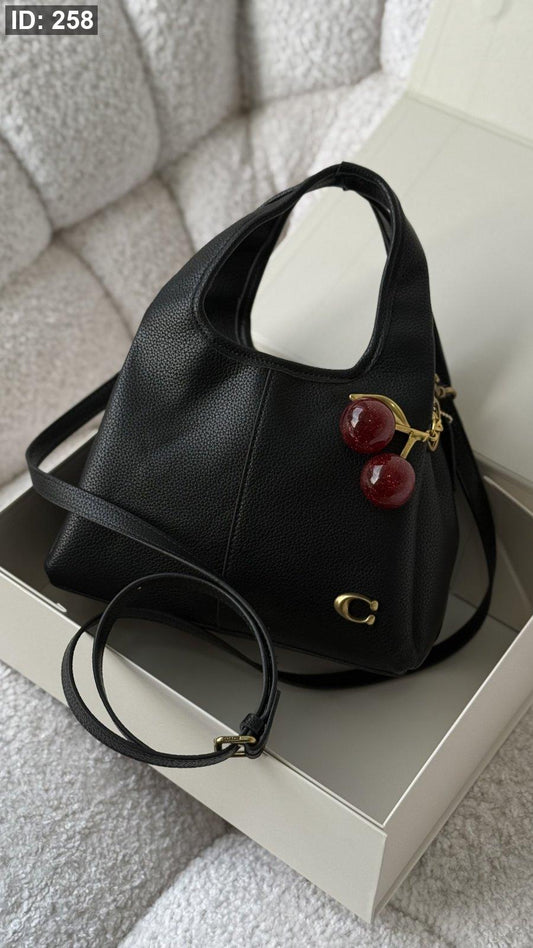 Coach LANA bag 23cm / شامل بوكس كواليتي ماستر