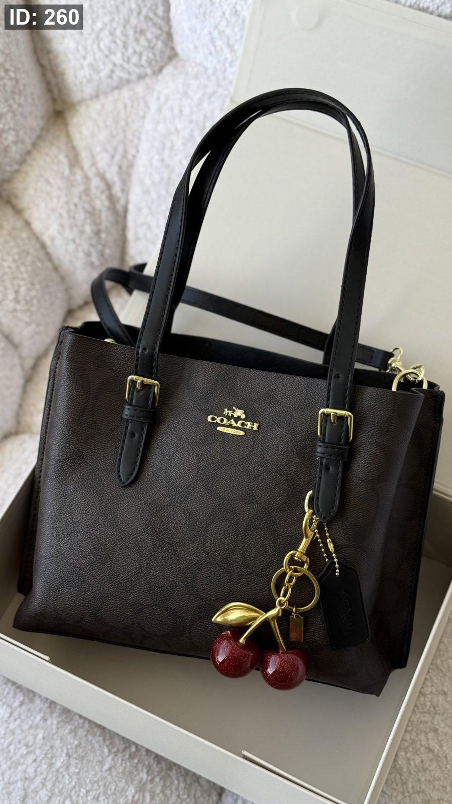 Coach bag mollie tote