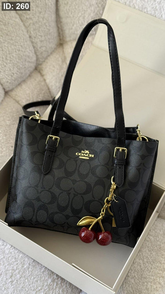شنطة - Coach bag mollie tote / شامل العلبة كواليتي ماستر