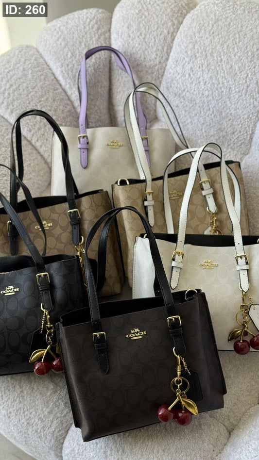 Coach bag mollie tote
