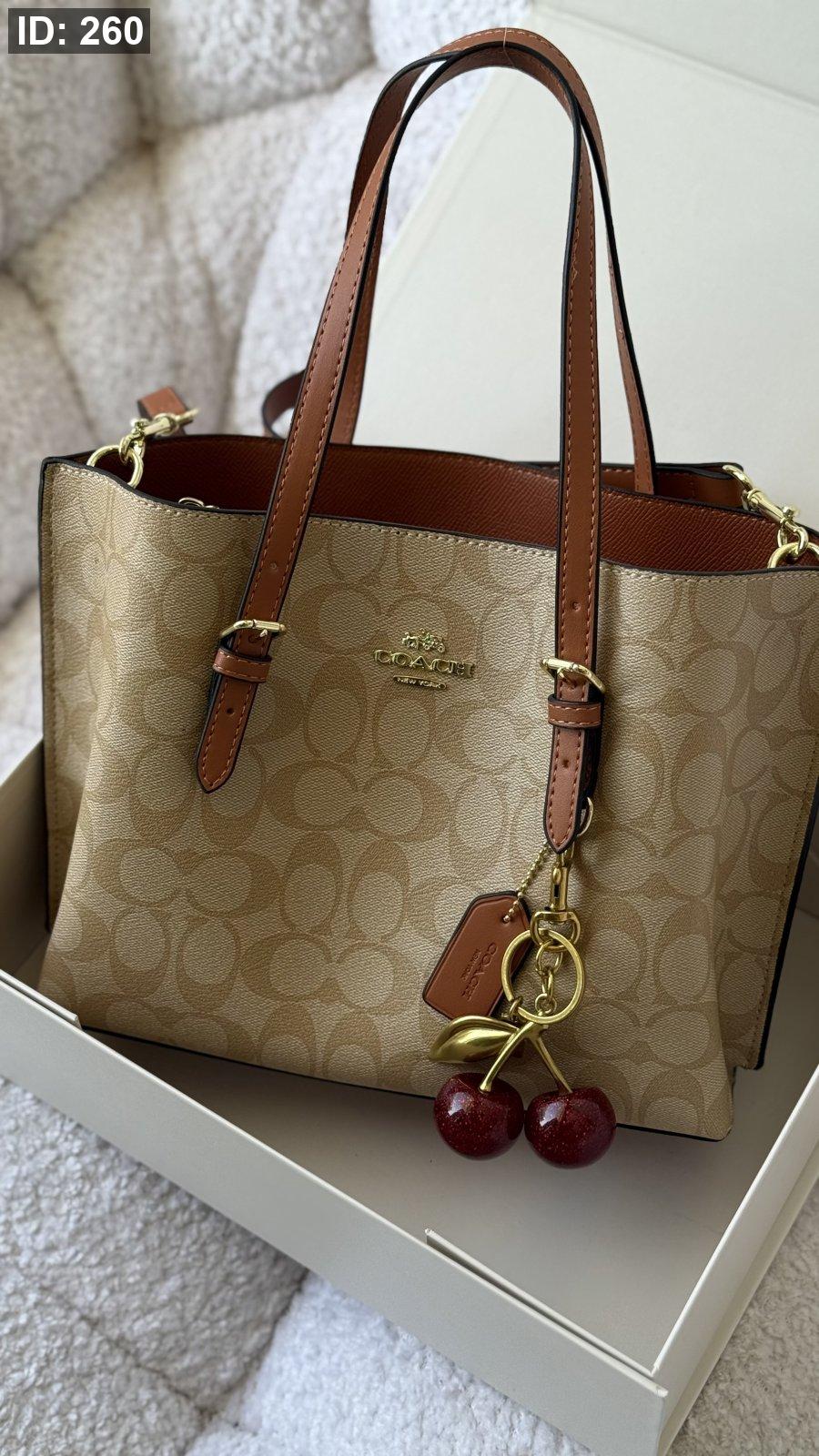 Coach bag mollie tote